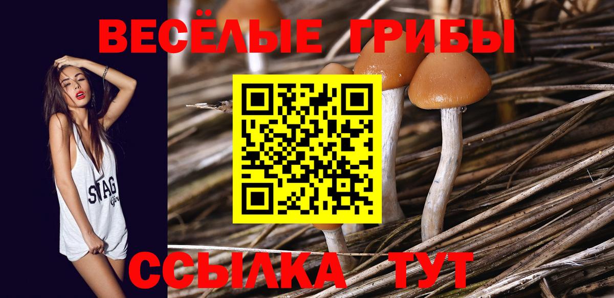 Галлюциногенные грибы Magic Shrooms Урай
